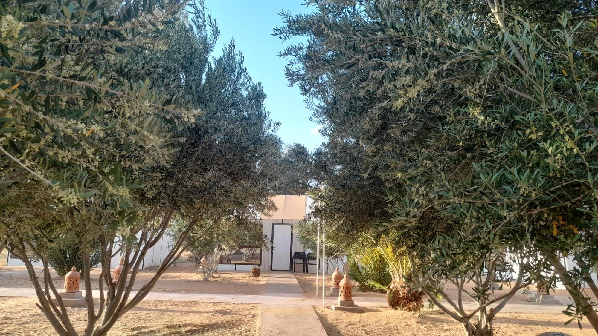 Trek Desert Morocco Sarl Taouz Екстер'єр фото
